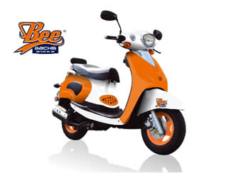 bee sachs