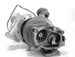 monkey pit bike turbo