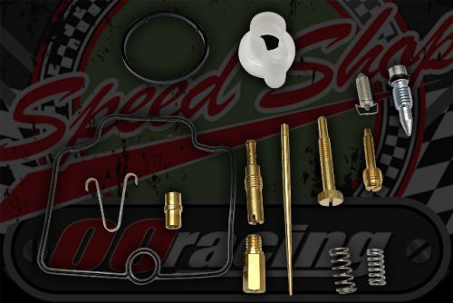 Carb service kit PE26/28 type