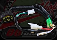 thumbnail image 2 of BLYGO Complete Wiring Harness For YX 160cc 4-Valve Engine – Pit Pro, Trail Dirt Bike 2 of 6