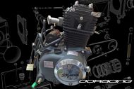 Engine Skyteam ACE 50cc vertical engine
