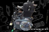 Engine 50cc OHC ACE OE replacement engine
