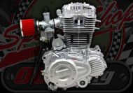 300cc. Engine 2 Valve. ACE engine upgrade