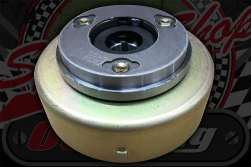 flywheel. Z190/212 with starter clutch hub rollers and springs