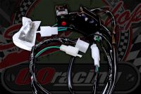 Wiring harness/Loom for the VMR118 ignition kit 