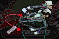 Wiring loom Monkey Skyteam Euro 4 EFI type