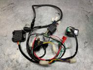 Loom kit that comes in the Z190 engine kit