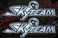 Tank badge. Sticker. Skyteam Monkey Black/silver.