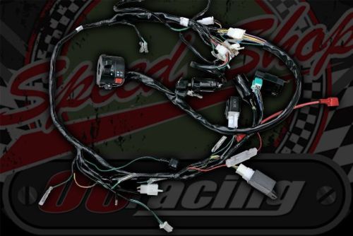 Loom kit all in one L/H switch gear Monkey bike, CHALY or DAX ST SKYMAX running stock charging split phase